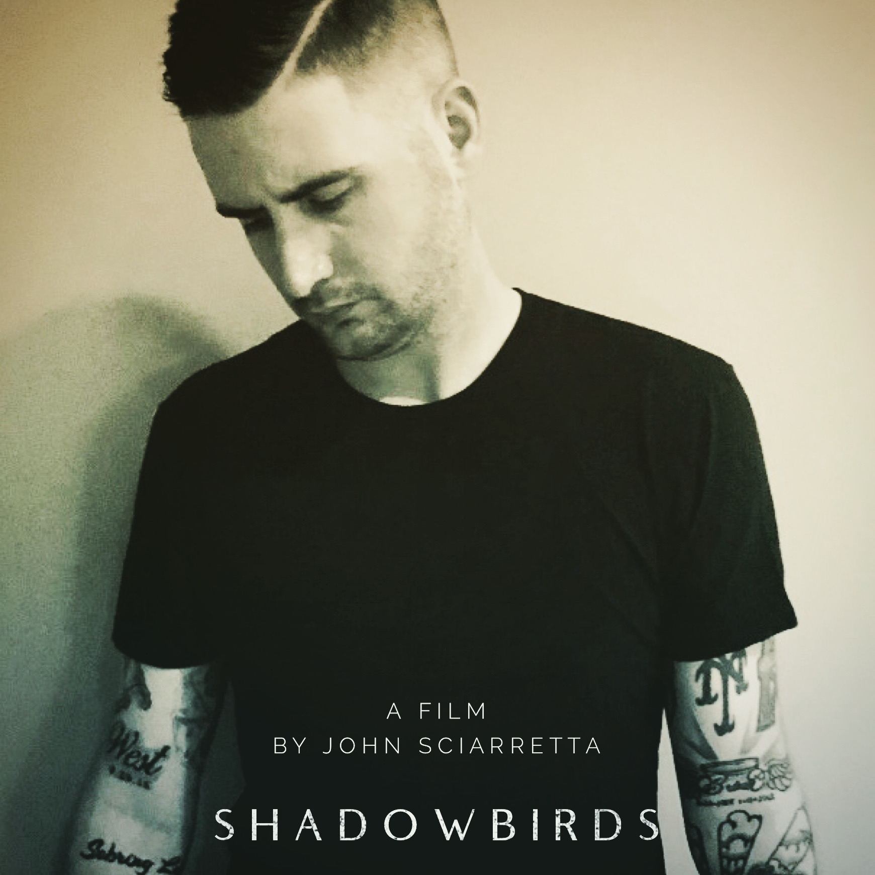 "Shadowbirds"